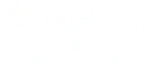 Trustpilot – fünf Sterne